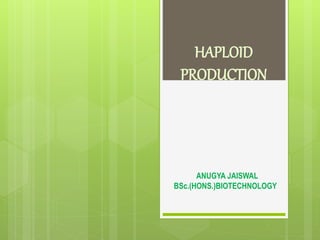 HAPLOID
PRODUCTION
ANUGYA JAISWAL
BSc.(HONS.)BIOTECHNOLOGY
 
