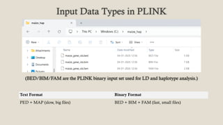 Haplotype Analysis and Detection of Haplotype Blocks Using SNP Data ...