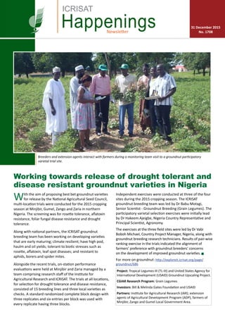 Newsletter
Happenings 31 December 2015
No. 1708
ICRISAT
Working towards release of drought tolerant and
disease resistant groundnut varieties in Nigeria
With the aim of proposing best bet groundnut varieties
for release by the National Agricultural Seed Council,
multi-location trials were conducted for the 2015 cropping
season at Minjibir, Gumel, Zango and Zaria in northern
Nigeria. The screening was for rosette tolerance, aflatoxin
resistance, foliar fungal disease resistance and drought
tolerance.
Along with national partners, the ICRISAT groundnut
breeding team has been working on developing varieties
that are early maturing; climate resilient; have high pod,
haulm and oil yields; tolerant to biotic stresses such as
rosette, aflatoxin, leaf spot diseases; and resistant to
aphids, borers and spider mites.
Alongside the recent trials, on-station performance
evaluations were held at Minjibir and Zaria managed by a
team comprising research staff of the Institute for
Agricultural Research and ICRISAT. The trials at all locations,
for selection for drought tolerance and disease resistance,
consisted of 15 breeding lines and three local varieties as
checks. A standard randomized complete block design with
three replicates and six entries per block was used with
every replicate having three blocks.
Independent exercises were conducted at three of the four
sites during the 2015 cropping season. The ICRISAT
groundnut breeding team was led by Dr Babu Motagi,
Senior Scientist - Groundnut Breeding (Grain Legumes). The
participatory varietal selection exercises were initially lead
by Dr Hakeem Ajeigbe, Nigeria Country Representative and
Principal Scientist, Agronomy.
The exercises at the three field sites were led by Dr Vabi
Boboh Michael, Country Project Manager, Nigeria, along with
groundnut breeding research technicians. Results of pair-wise
ranking exercise in the trials indicated the alignment of
farmers’ preference with groundnut breeders’ concerns
on the development of improved groundnut varieties. g
For more on groundnut: http://exploreit.icrisat.org/page/
groundnut/686
Project: Tropical Legumes-III (TL-III) and United States Agency for
International Development (USAID) Groundnut Upscaling Project.
CGIAR Research Program: Grain Legumes
Investors: Bill & Melinda Gates Foundation and USAID
Partners: Institute for Agricultural Research (IAR); extension
agents of Agricultural Development Program (ADP), farmers of
Minjibir, Zango and Gumel Local Government Area.
Breeders and extension agents interact with farmers during a monitoring team visit to a groundnut participatory
varietal trial site.
Photo: Benjamin, Shiyanbola
 