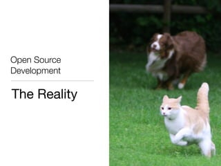 Open Source
Development

The Reality
 