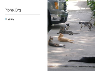 Plone.Org

• Policy
 