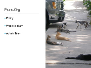 Plone.Org

• Policy

• Website Team

• Admin Team
 