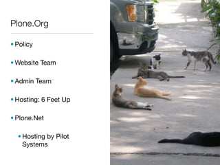 Plone.Org

• Policy

• Website Team

• Admin Team

• Hosting: 6 Feet Up

• Plone.Net

  • Hosting by Pilot
    Systems
 