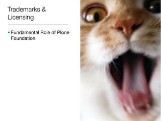 Trademarks &
Licensing

• Fundamental Role of Plone
  Foundation
 