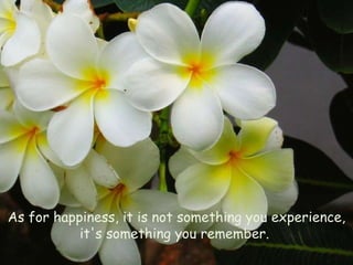 As for happiness, it is not something you experience, it's something you remember.  