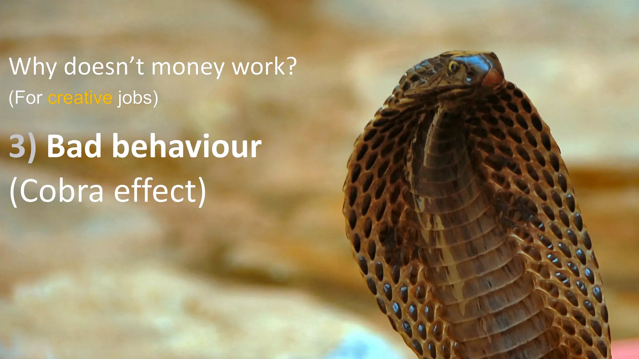 Why doesn’t money work?
(For creative jobs)
3) Bad behaviour
(Cobra effect)
 