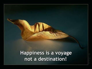 Happiness is a voyage not a destination!   