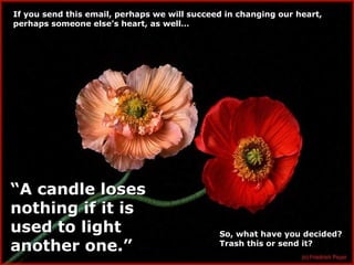 If you send this email, perhaps we will succeed in changing our heart,
perhaps someone else’s heart, as well…

“A candle loses
nothing if it is
used to light
another one.”

So, what have you decided?
Trash this or send it?

 