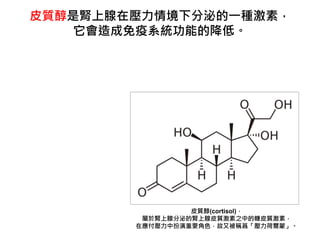 Ƥ|(cortisol)
IٷڵIƤ|֮еƤ|أ
ڑаҪɫֱQɠɡ
Ƥ|Iډ龳·ڵһNأ
ϵyܵĽ͡
 