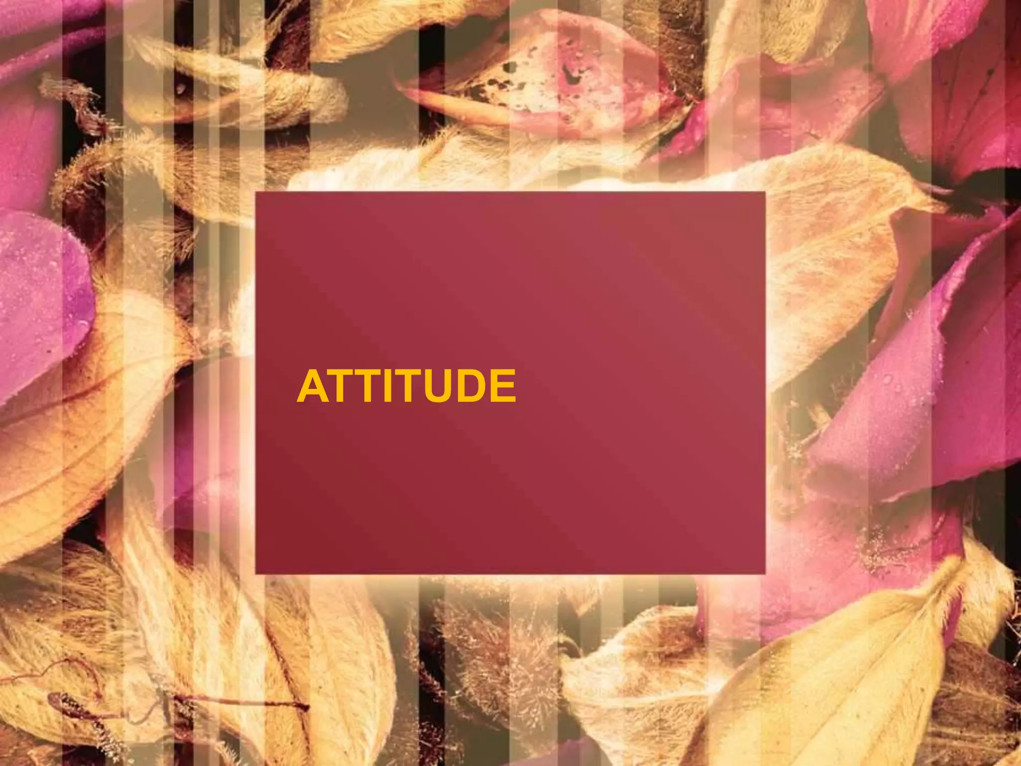 ATTITUDE 
 