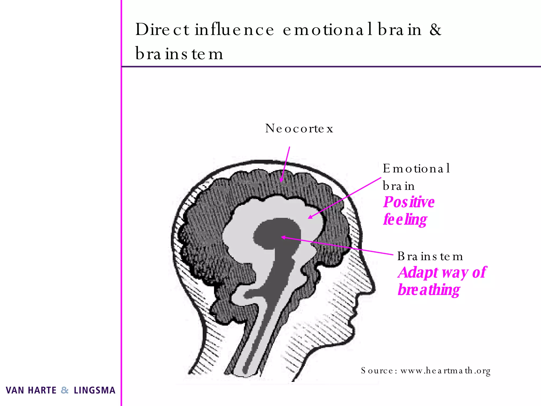 Direct influence emotional brain & brainstem Neocortex Emotional brain Positive feeling Brainstem Adapt way of breathing Source: www.heartmath.org 