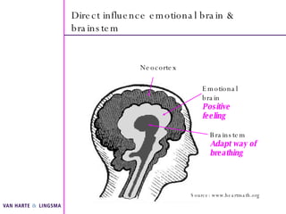 Direct influence emotional brain & brainstem Neocortex Emotional brain Positive feeling Brainstem Adapt way of breathing S...