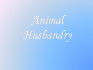 Animal
Husbandry
 