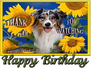 [email_address] THANK YOU FOR WATCHING 