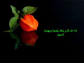 ‫ويهدينا‬ ‫بأيدينا‬ ‫يأخذ‬ ‫الذي‬ ‫ال‬ ‫انه‬
‫السبيل‬
 