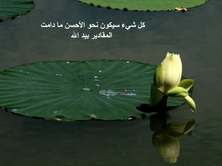 ‫دامت‬ ‫ما‬ ‫الحسن‬ ‫نحو‬ ‫سيكون‬ ‫شيء‬ ‫كل‬
‫ال‬ ‫بيد‬ ‫المقادير‬
 