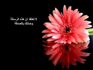 ‫الرسالة‬ ‫هذه‬ ‫ان‬ ‫تعتقد‬ ‫ل‬
‫بالصدفة‬ ‫وصلتك‬
 