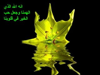 ‫الذي‬ ‫ال‬ ‫انه‬
‫حب‬ ‫وجعل‬ ‫الهمنا‬
‫قلوبنا‬ ‫في‬ ‫الخير‬
 