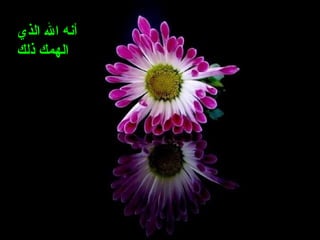 ‫الذي‬ ‫ال‬ ‫أنه‬
‫ذلك‬ ‫الهمك‬
 