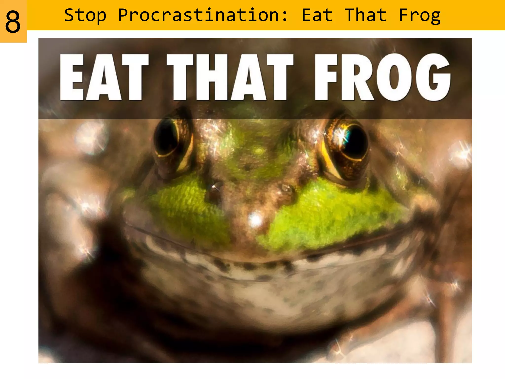 Stop Procrastination: Eat That Frog
8
 