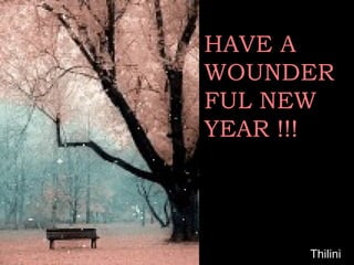 HAVE A WOUNDERFUL NEW YEAR !!! Thilini 