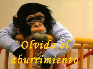 Olvida el aburrimiento