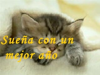 Sueña con un mejor año