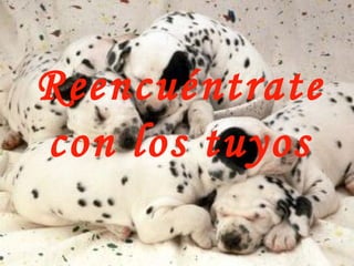 Reencuéntrate con los tuyos