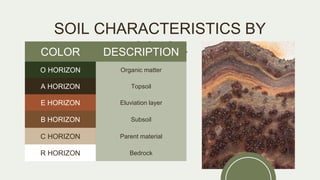 Subsoil Color happy-soil-conservation-day.pptx