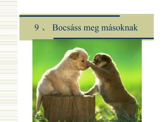 9 、 Bocsáss meg másoknak 