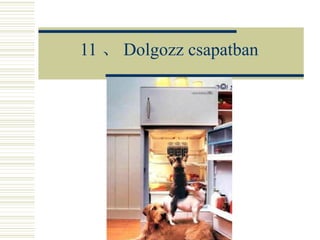 11 、 Dolgozz csapatban 