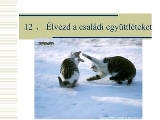 12 、 Élvezd a családi együttléteket 