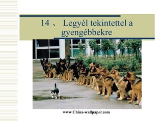 14 、 Legyél tekintettel a gyengébbekre 