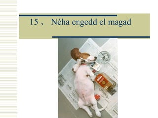 15 、 Néha engedd el magad 