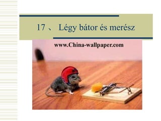 17 、 Légy bátor és merész 