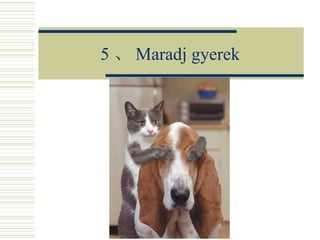 5 、 Maradj gyerek 