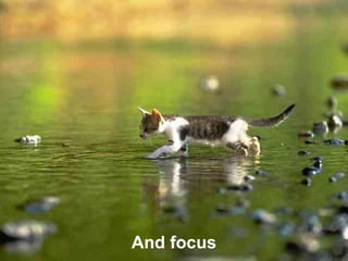 And focus
