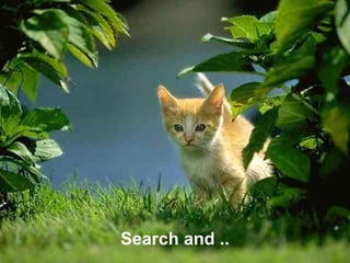 Search and ..