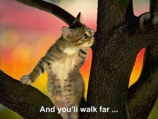 And you’ll walk far ...