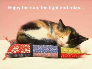 Enjoy the sun, the light and relax...