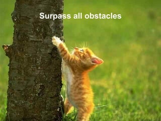 Surpass all obstacles