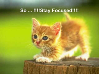 So ... !!!!Stay Focused!!!!