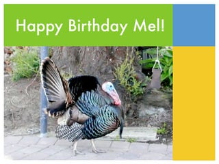 Happy Birthday Mel!
 