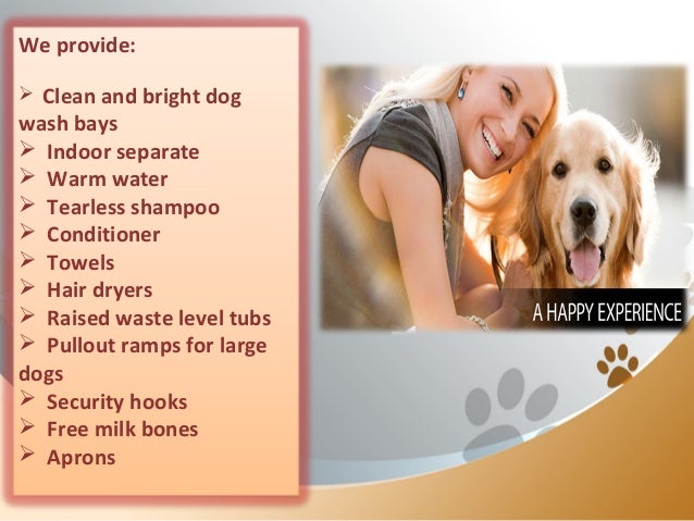 Give Dog Sparkling Water Give Dog Sparkling Water