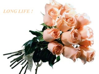 LONG LIFE   !   