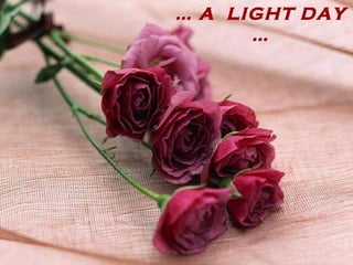 …  A  LIGHT DAY  … 