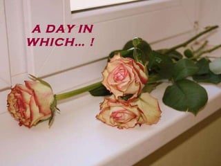 A DAY IN WHICH …  !   