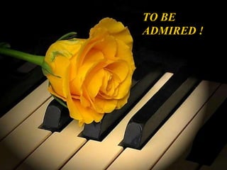 TO BE ADMIRED  ! 