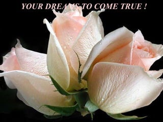 YOUR DREAMS TO COME TRUE  ! 