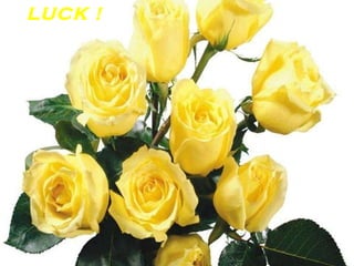 LUCK   !   